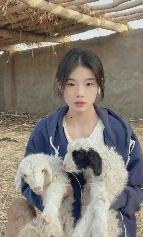 张铭发爆料灰太狼的视频,视频爆料背后的惊人内幕  第3张