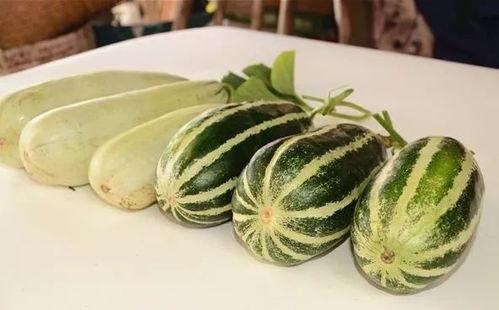 网红免费吃瓜视频,揭秘幕后真相与娱乐效应